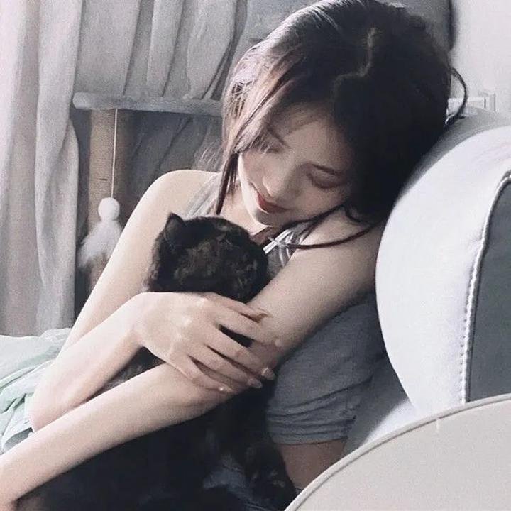 末世战疫：鸣鸟档案